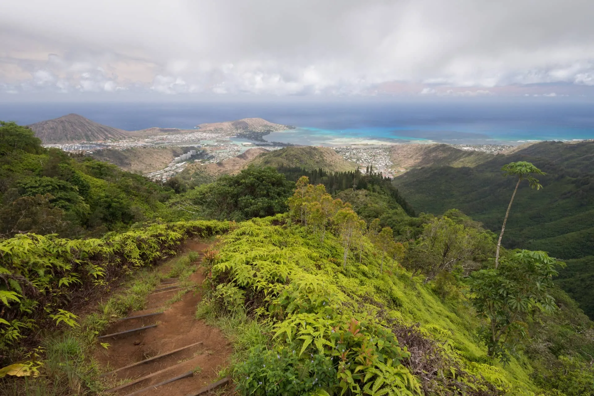 ハワイの山々や街並みを一望できるクリオウオウトレイル